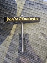Plant Sign-Ceramic Sign On 6 Inch Stainless Stake-Funny Plant Sign-Garden Decor