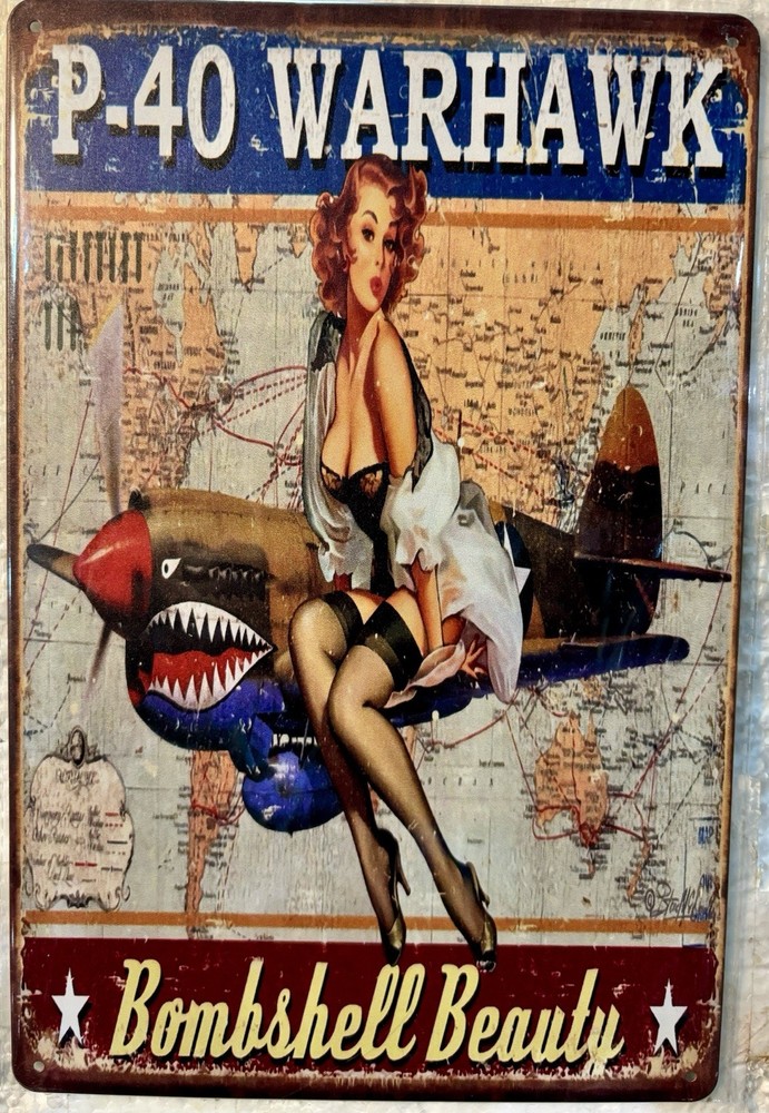 TIN SIGN 8×12 Airplane Sexy Girl Bombshell Beauty Air Force Military War DD8