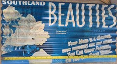 Southland Beauties Brand Rustic Petina 21.5″x12″ Metal Advertisement Garden Home