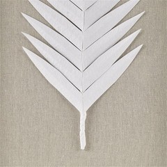 Pemberly Row 3-piece Palm Rice Paper Framed Shadow Box in Off White