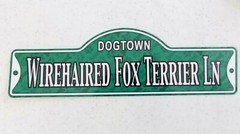 Dogtown – Wirehaired Fox Terrier Ln ~ Laminated Plastic Dog Street Sign ~ New