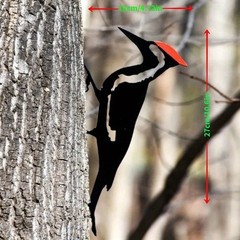1pc Woodpecker On Branch Steel Silhouette Metal Wall Art – Perfect for Birthdays