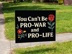 Pro Peace Pro Choice Yard Sign Outdoor Lawn Sign