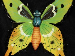 BUTTERFLY, Home Accents, Garden Decor, Collectibles, Christmas Gifts, BTR -3