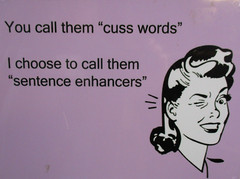 Metal Novelty Sign “You Call Them Cuss Words” “Sentence Enhancers” USA