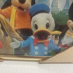 DISNEYLAND 1970s framed picture Mickey Mouse Donald Duck Pluto Goofy 8” X 6”