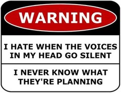 Warning I Hate When the Voices In My Head Go Silent I Never Know What They’re Pl