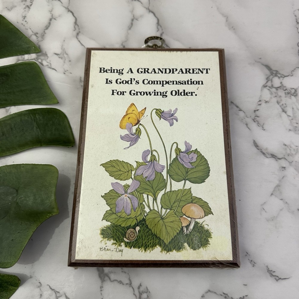 Vintage 70s Wall Art Plaque Grandparent Saying New Butterfly Floral Snail Boho