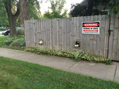 Beware of Dog Sign (2 Pack) 10”X7” Reflective Metal Signs 0.40 Aluminum Sign Pre