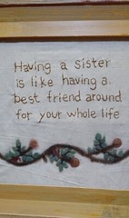 Framed Embroidered “Having a Sister” Wall Art 12×12 Rustic Cottage Decor
