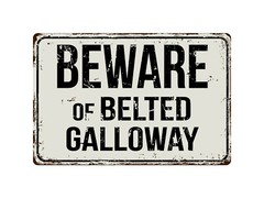148VS Beware Of Belted Galloway 8 “x 12” Vintage Aluminum Retro Metal Sign