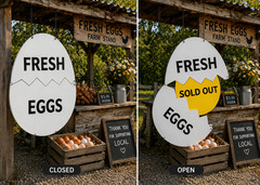 Fresh Egg Station Signs, Farm Fresh Egg Sign, Chicken Coop Eggs Sign