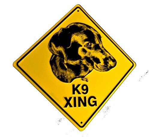Hangtime K9Crossing 12×12 inch Crossing Sign