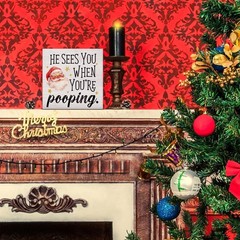 Funny Christmas Decorations, Christmas Bathroom Decor Sign, He Sees You When …