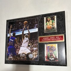 LeBron James Cleveland Cavaliers #23 Wall Mounted Plaque Photo w/ 2 Cards