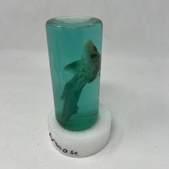 Real 7 Inch Shark in a Bottle Jar, Marine Specimen Taxidermy, Fishing, Jaws –