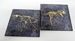 Set of 2 Wooden Wall Plaques Dinosaur Image 9.5″ Square