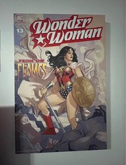 DC Comics Wonder Woman Canvas Wall Plaque, Wall Mounted Vertical 24×36″