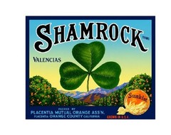 Crate Label Vintage Style Sign Metal Wall Deco Oranges Shamrock MS109