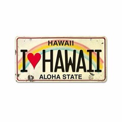 6in x 12in Vintage Hawaiian Embossed License Plate – I Love Hawaii