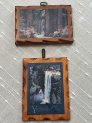Vintage Yosemite & Handcrafted Redwood Wooden Wall Art Lot Of 2 Forest Trees