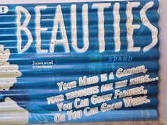Southland Beauties Brand Rustic Petina 21.5″x12″ Metal Advertisement Garden Home
