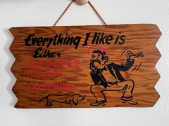 Vintage Humor Gag Wood Wooden Plaque Sign Everything I Like Is Either Illegal+