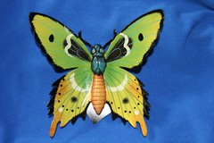 BUTTERFLY, Home Accents, Garden Decor, Collectibles, Christmas Gifts, BTR -3