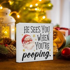 Funny Christmas Decorations, Christmas Bathroom Decor Sign, He Sees You When …