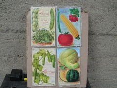 4 Burpee Seeds Vegetable Metal Signs 5.75×9 New
