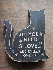 All You Need is Love And At Least One Cat Chunky Sitter