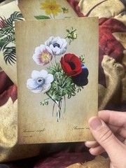 Set Of 26 – 4×6 Mini Farmhouse Card stock Decor Posters. Garden Animals & Plants