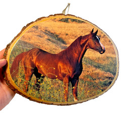 Antique Vintage Rustic Wood Wooden Slice Horse Wall Plaque Picture Equestrian