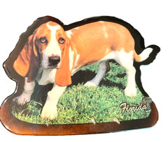 Basset Hound Key Rack Wall Hanger Dog Florida Souvenir Lacquer Plaque with Hooks