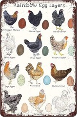 Chicken Breeds Tin Sign – 8×12 Inch Vintage Decorative Signage with Egg Layers A