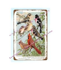 1960s GROSBEAK FINCH SPARROW CARDINAL WALTER WEBER BIRD PORTRAIT metal tin sign