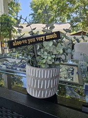 Plant Sign-Ceramic Sign On 6 Inch Stainless Stake-Funny Plant Sign-Garden Decor