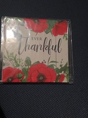Deeply Grateful Ever Thankful Small Hanging