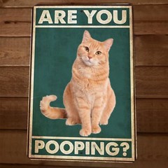 Are You Pooping Cat 8×12 Funny Bathroom Metal Wall Sign #1