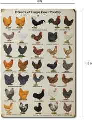 Funny Chicken Breed Coop Sign 8×12 Metal Rustic Farm Rooster Chart Decor