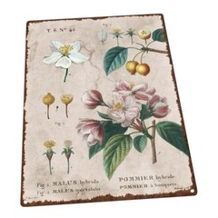 Vintage Flower Encyclopedia, Crabapple Metal Sign; Decor for Porch and Patio