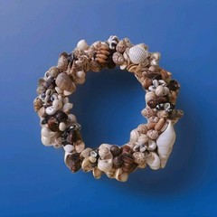Handcrafted Polished Sea Shell Wreath 12″ Beach Seashore Coastal Decor Beautiful