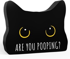 Black Cat Decor Cat Bathroom Decor Are You Pooping Funny Bathroom Acrylic