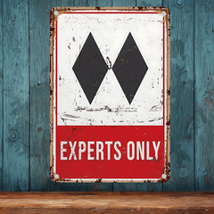 Experts Only Metal Art Sign Rustic Distressed Design Wall Decor Perfect for Home