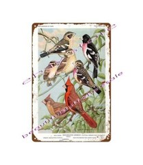 1960s GROSBEAK FINCH SPARROW CARDINAL WALTER WEBER BIRD PORTRAIT metal tin sign