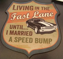 Living in Fast Lane Until Married Speed Bump particle board sign novelty c42922