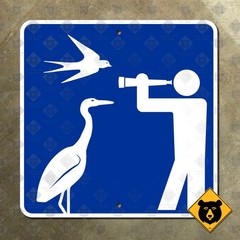 Quebec ornithological site highway road street sign 2005 bird watching 12×12