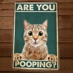Are You Pooping Cat 8×12 Funny Bathroom Metal Wall Sign #2