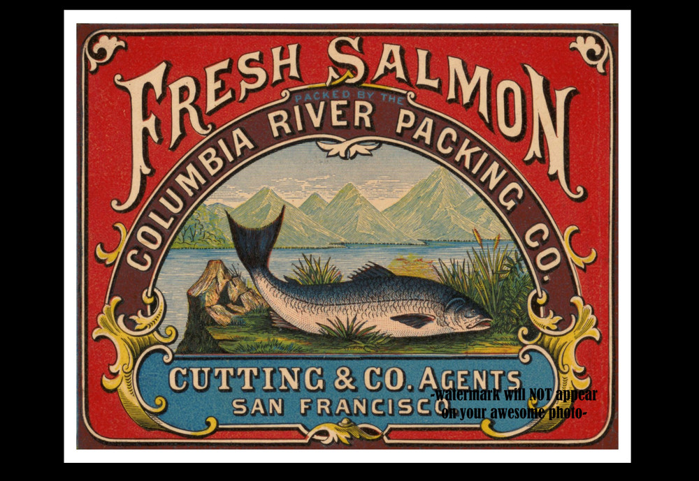 8×10 1874 Vintage Columbia River Salmon PHOTO Advertising Fishing Decor Poster