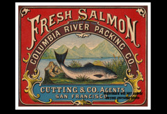 8×10 1874 Vintage Columbia River Salmon PHOTO Advertising Fishing Decor Poster